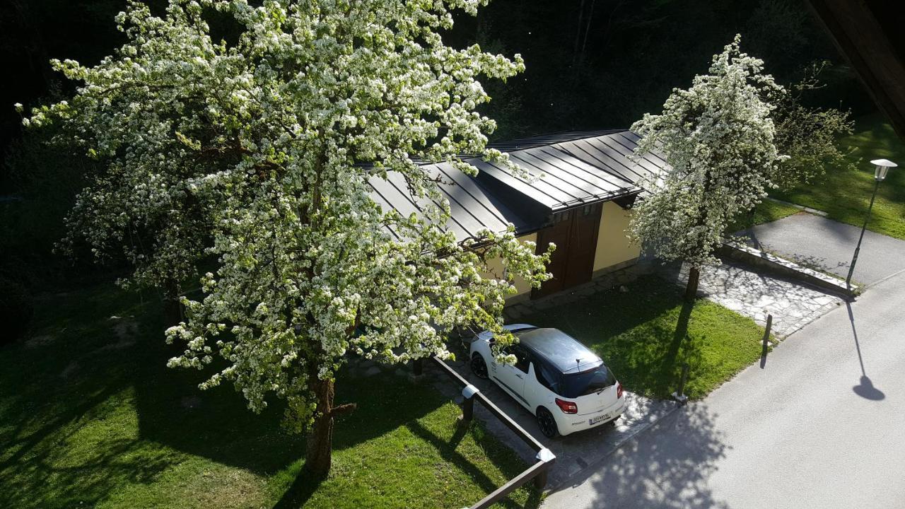 Imlau 51 Apartment Exterior foto